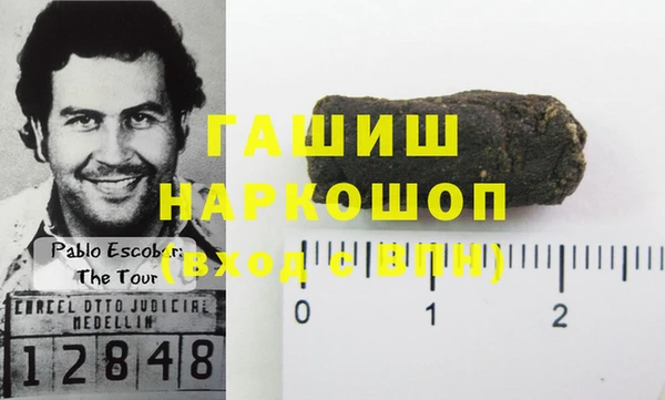 мдпв Гусев