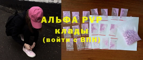 мдпв Гусев