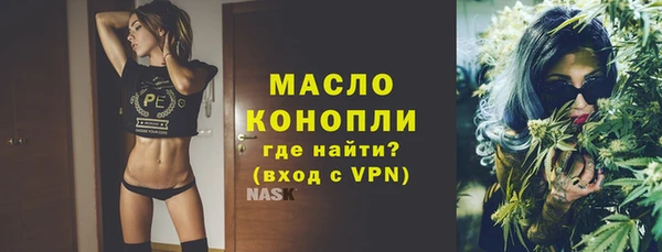 мдпв Гусев