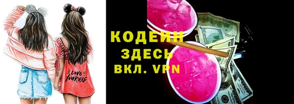 мдпв Гусев