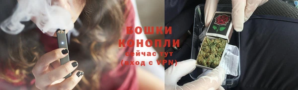 мдпв Гусев