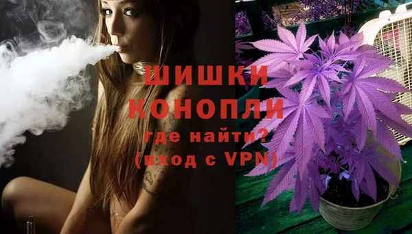 мдпв Гусев