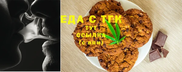 мдпв Гусев