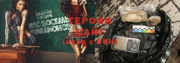 мдпв Гусев