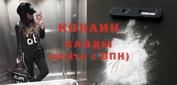 мдпв Гусев