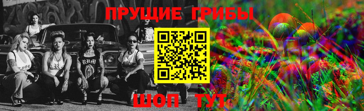 Горно-Алтайск  Галлюциногенные грибы ЛСД  Вход с VPN 
